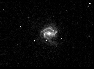 m61