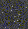 m39
