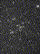 m41