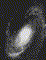 m81